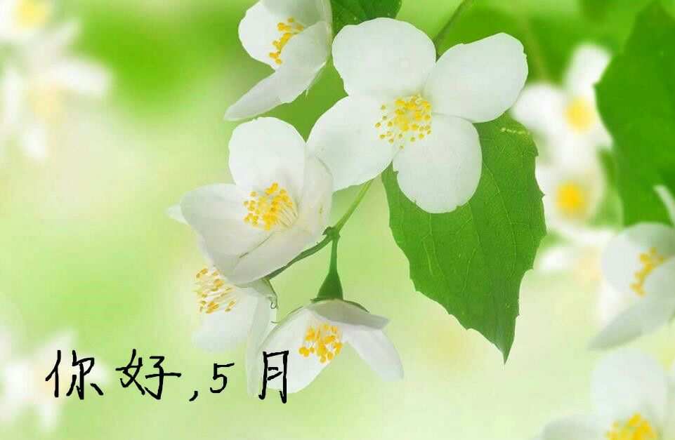 【仲夏5月】-成都、长沙 、桂林 、青岛、南京 ......6月我们在哪里相见？